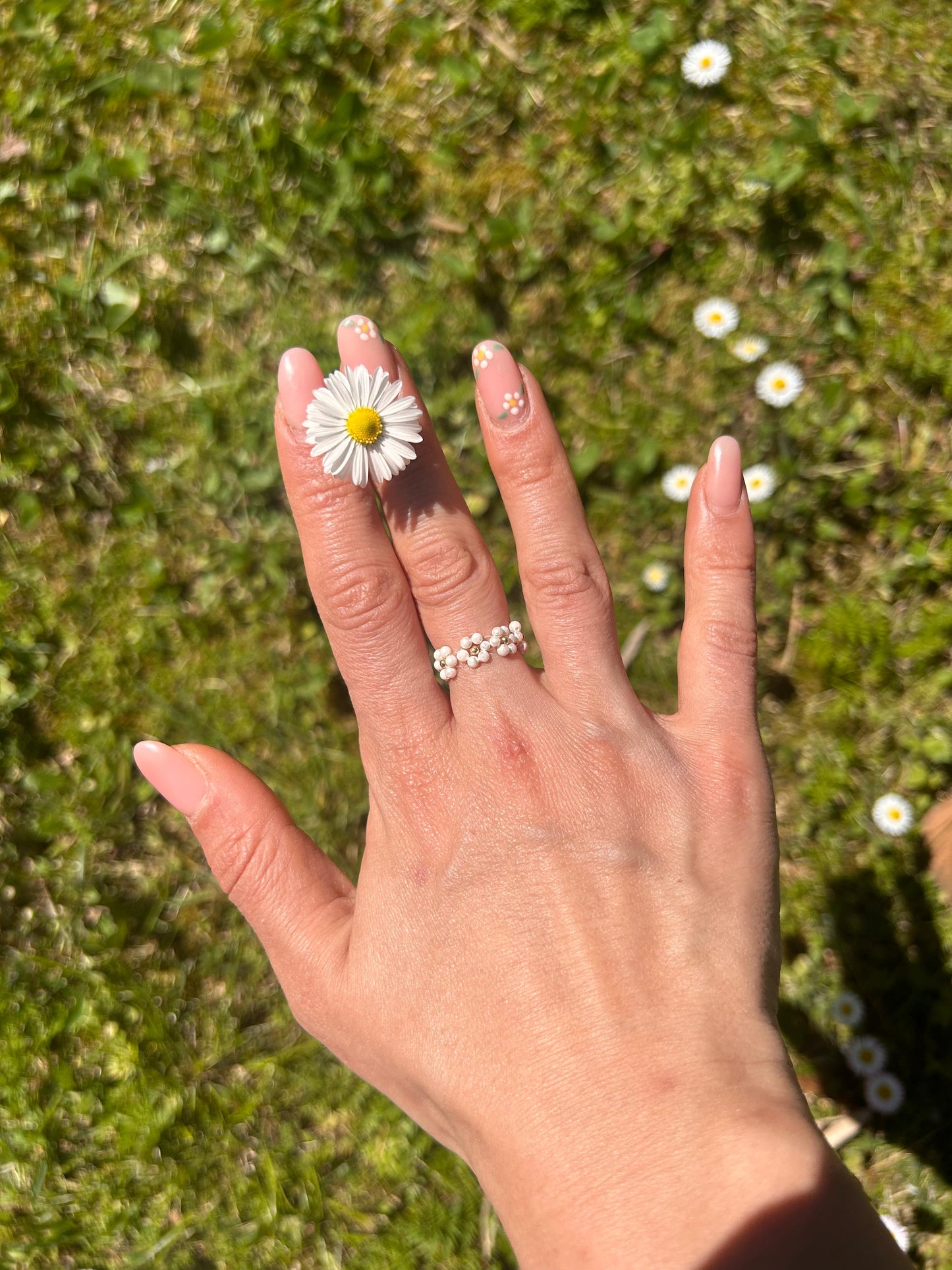 🌼 𝒟𝒶𝒾𝓈𝓎 🌼